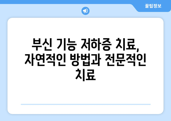 부신 기능 저하증, 피로 회복 위한 치료법과 관리 가이드 | 부신 기능 저하증, 만성 피로, 스트레스, 건강 관리