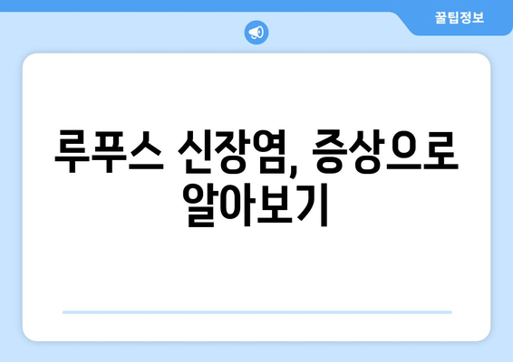 루푸스 신장염 완벽 가이드| 증상, 진행, 관리 그리고 치료 | 루푸스, 신장 질환, 면역 질환, 치료법