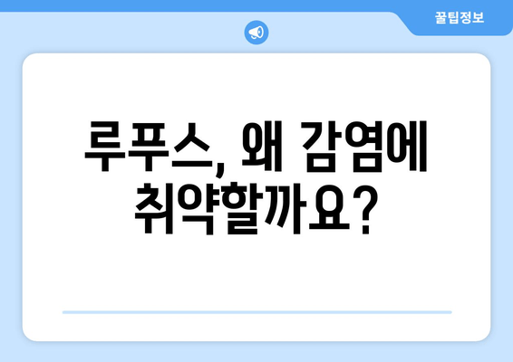 루푸스 환자의 감염 위험| 예방, 치료 및 관리 가이드 | 자가면역 질환, 면역 체계, 감염 예방 팁