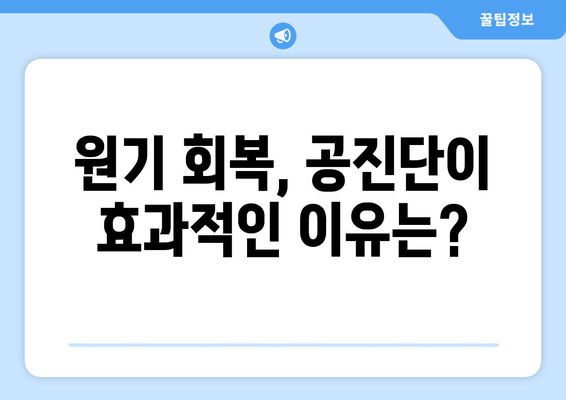 공진단 효능과 효과, 제대로 알고 드세요! | 건강, 면역력, 피로회복, 원기 회복,  궁금증 해결