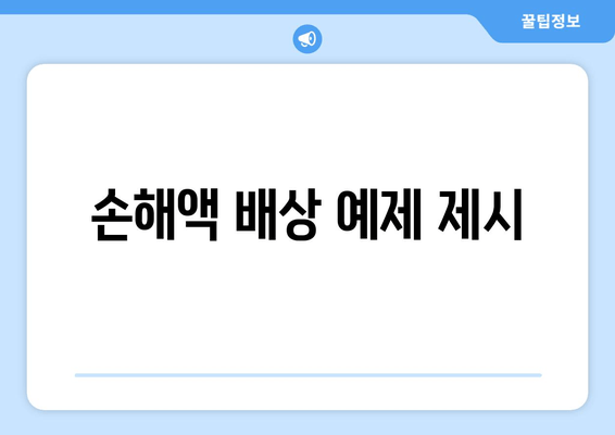 손해액 배상 예제 제시