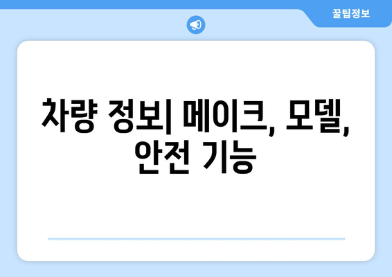 차량 정보| 메이크, 모델, 안전 기능