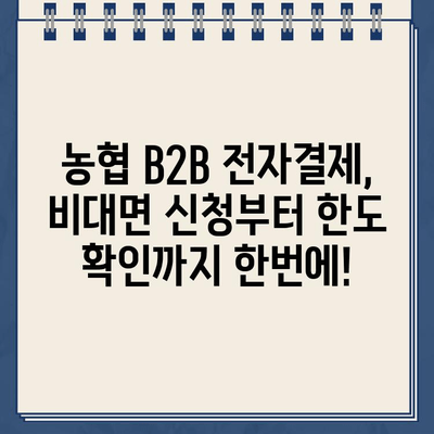 농협 B2B 전자결제 비대면 신청 기한 연장 & 한도 확인 가이드 | B2B 결제, 비대면 신청, 기한 연장, 한도 확인