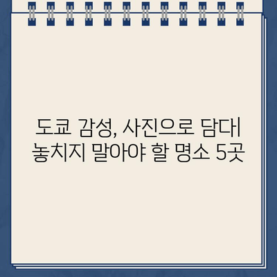 도쿄 감성 충전! 카메라 셔터를 부르는 모던 시티 리플릿 도쿄 2 | 도쿄 여행, 사진 명소, 감성 스팟