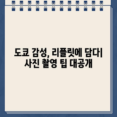 도쿄 모던 시티 리플릿 촬영 가이드| 감각적인 사진 팁 & 촬영 장소 추천 | 리플릿 디자인, 사진 촬영, 도쿄 여행