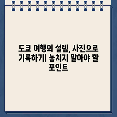 도쿄 모던 시티 리플릿 촬영 가이드| 감각적인 사진 팁 & 촬영 장소 추천 | 리플릿 디자인, 사진 촬영, 도쿄 여행