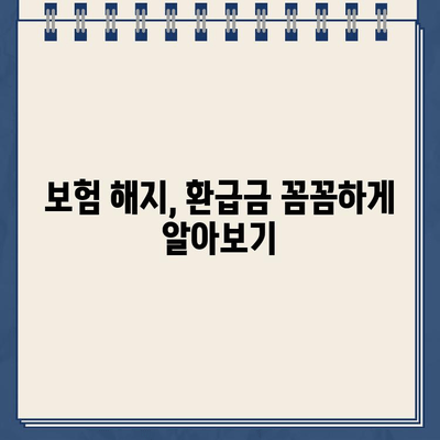 보험 해지 환급금 & 의료보험료 환급금, 지급일 바로 확인하세요! | 보험 해지, 환급금, 의료보험, 지급일 확인