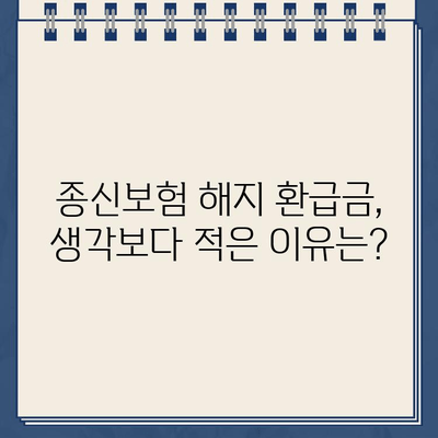 종신보험 해지 환급금 미지급, 왜 발생할까요? | 보험금 지급 거부 사례 & 대처법