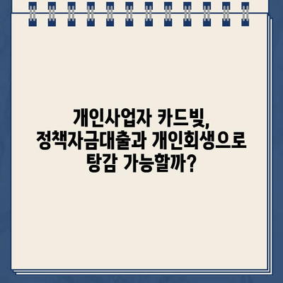 개인사업자 카드빚 탕감, 정책자금대출과 개인회생으로 가능할까요? | 카드빚 해결, 개인회생, 정책자금대출