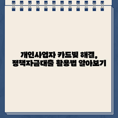 개인사업자 카드빚 탕감, 정책자금대출과 개인회생으로 가능할까요? | 카드빚 해결, 개인회생, 정책자금대출