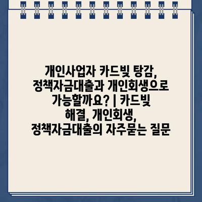 개인사업자 카드빚 탕감, 정책자금대출과 개인회생으로 가능할까요? | 카드빚 해결, 개인회생, 정책자금대출