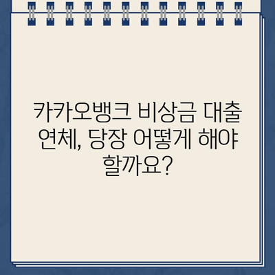 카카오뱅크 비상금 대출 연체, 어떻게 해야 할까요? | 연체 경과 조치, 해결 방안, 주의 사항