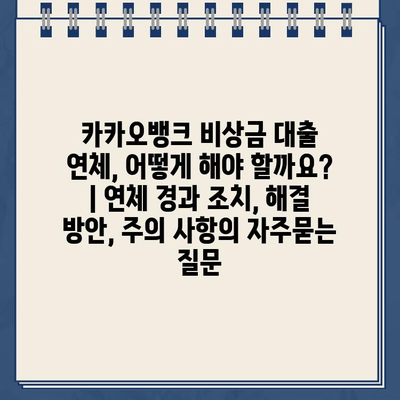 카카오뱅크 비상금 대출 연체, 어떻게 해야 할까요? | 연체 경과 조치, 해결 방안, 주의 사항