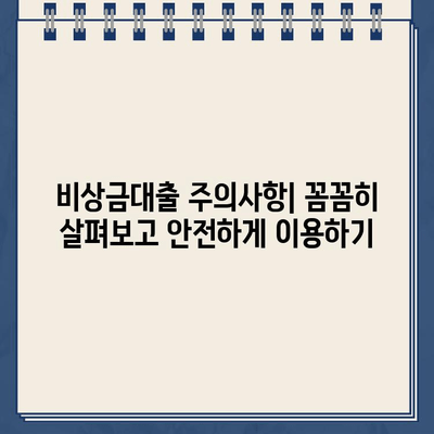 카카오뱅크 비상금대출 완벽 가이드| 신청부터 연장, 거절까지 | 비상금, 대출, 금리, 한도, 조건, 서류, 주의사항