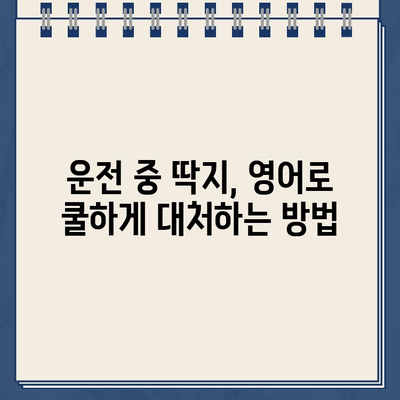 주차 위반, 과속 딱지 영어로 말하기| 운전 중 딱지 받았을 때 유용한 표현 | 영어, 주차 위반, 과속, 딱지, 표현, 영어 회화