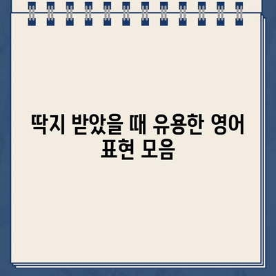 주차 위반, 과속 딱지 영어로 말하기| 운전 중 딱지 받았을 때 유용한 표현 | 영어, 주차 위반, 과속, 딱지, 표현, 영어 회화