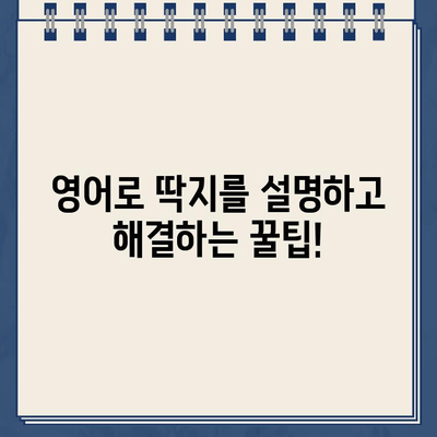 주차 위반, 과속 딱지 영어로 말하기| 운전 중 딱지 받았을 때 유용한 표현 | 영어, 주차 위반, 과속, 딱지, 표현, 영어 회화