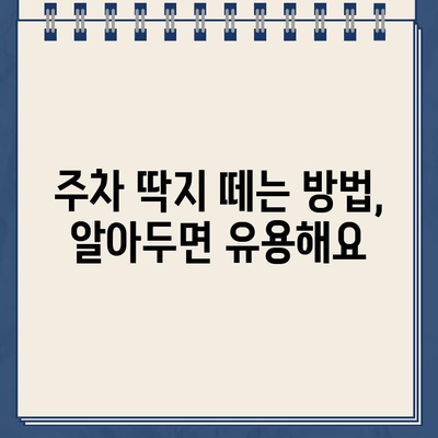 미국 운전 초보자 주차 위반 딱지 실화| 겪어보니 이렇더라 | 주차 딱지, 벌금, 미국 운전 팁, 주차 규정