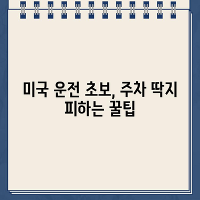 미국 운전 초보자 주차 위반 딱지 실화| 겪어보니 이렇더라 | 주차 딱지, 벌금, 미국 운전 팁, 주차 규정