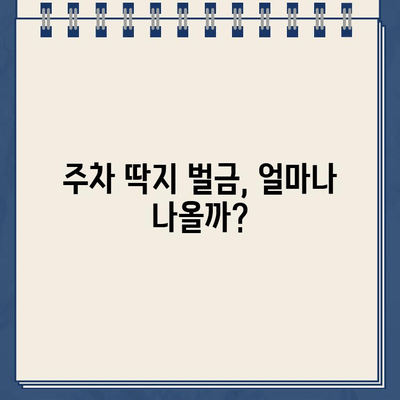 미국 운전 초보자 주차 위반 딱지 실화| 겪어보니 이렇더라 | 주차 딱지, 벌금, 미국 운전 팁, 주차 규정