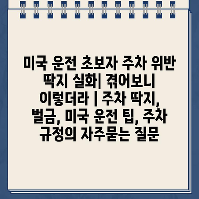 미국 운전 초보자 주차 위반 딱지 실화| 겪어보니 이렇더라 | 주차 딱지, 벌금, 미국 운전 팁, 주차 규정