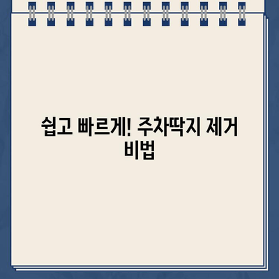 주차딱지 떼고 깨끗한 유리까지! 차량 관리 꿀팁 총정리 | 주차딱지 제거, 차 유리 청소, 자동차 관리 팁