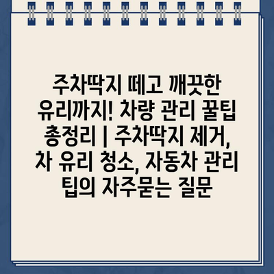 주차딱지 떼고 깨끗한 유리까지! 차량 관리 꿀팁 총정리 | 주차딱지 제거, 차 유리 청소, 자동차 관리 팁