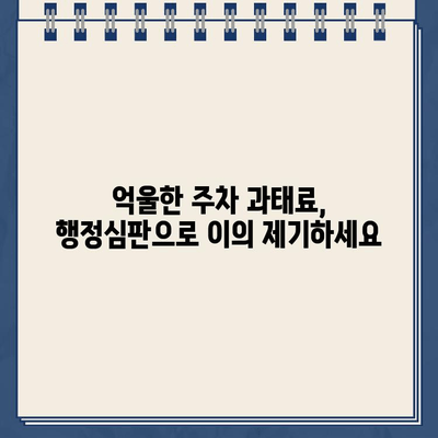 동일 장소 주차 위반, 똑같은 벌금? 불공평한 부과 사례와 대처법 | 주차 위반, 벌금, 행정심판, 법률