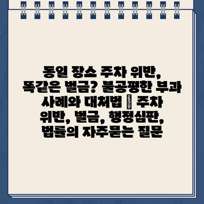 동일 장소 주차 위반, 똑같은 벌금? 불공평한 부과 사례와 대처법 | 주차 위반, 벌금, 행정심판, 법률