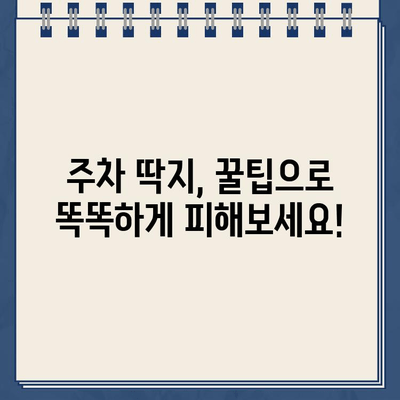 주차 딱지, 이젠 걱정 끗! 주차 위반 대비 & 벌금 줄이는 꿀팁 | 주차 벌금, 주차 위반, 주차 팁, 벌금 감면