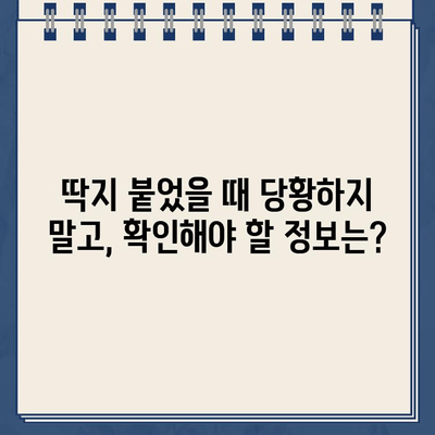 독일 렌트카 주차 벌금 딱지, 납부 방법 총정리 | 독일, 렌트카, 벌금, 딱지, 납부