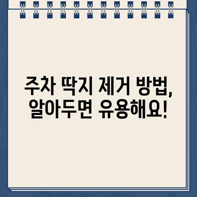 주차딱지, 이제 걱정 끝! | 주차딱지 제거, 딱지 제거 방법, 주차 위반 딱지 해결