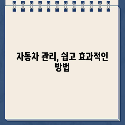 주차 딱지 제거 & 자동차 유리 청소 꿀팁| 깨끗한 차 유지하는 5가지 방법 | 주차 딱지 제거, 유리 세척, 자동차 관리