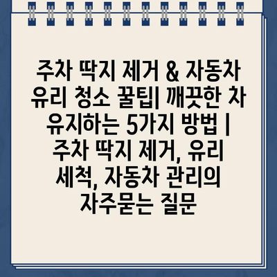 주차 딱지 제거 & 자동차 유리 청소 꿀팁| 깨끗한 차 유지하는 5가지 방법 | 주차 딱지 제거, 유리 세척, 자동차 관리