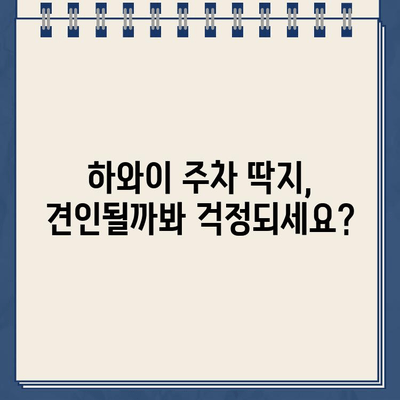 하와이 주차 딱지 견인 & 과태료 납부 완벽 가이드 | 견인차 연락처, 벌금 납부 방법, 주차 팁