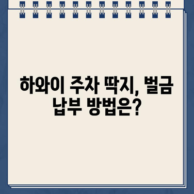 하와이 주차 딱지 견인 & 과태료 납부 완벽 가이드 | 견인차 연락처, 벌금 납부 방법, 주차 팁