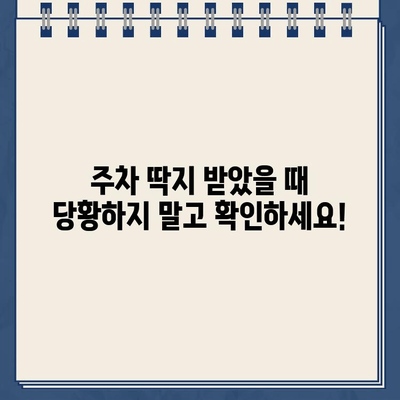 미국 신입 운전자 주차 위반, 어떻게 해야 할까요? | 주차 딱지, 벌금, 면허 정지, 해결 방법