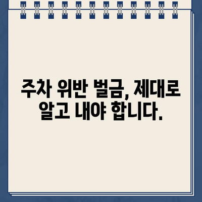 미국 신입 운전자 주차 위반, 어떻게 해야 할까요? | 주차 딱지, 벌금, 면허 정지, 해결 방법