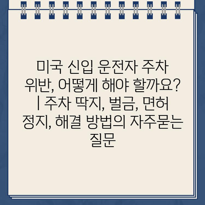 미국 신입 운전자 주차 위반, 어떻게 해야 할까요? | 주차 딱지, 벌금, 면허 정지, 해결 방법