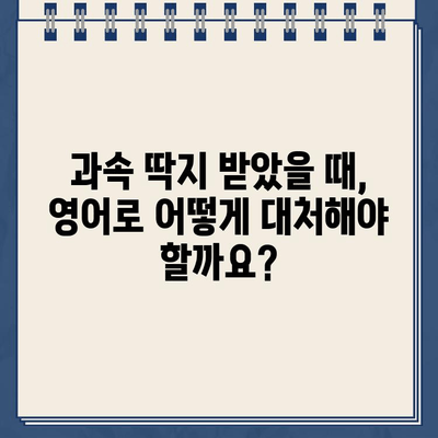 주차 위반, 과속 딱지| 영어로 똑똑하게 대처하기 | 영어 표현, 주차 딱지, 과속 딱지, 벌금, 경찰