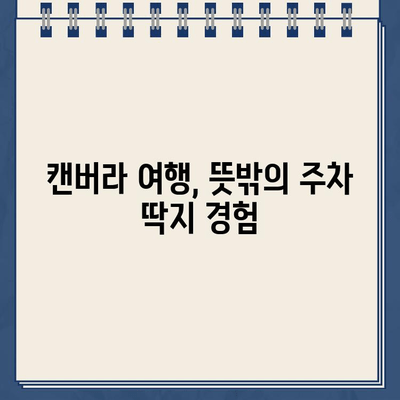 호주 캔버라에서 맛본 삼계탕과 뜻밖의 주차 딱지| 잊지 못할 여행 이야기 | 캔버라 여행, 삼계탕 맛집, 주차 팁, 호주 팁