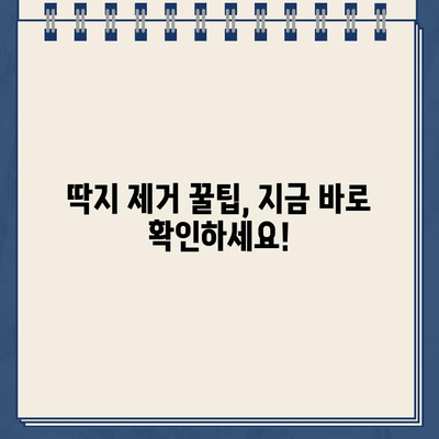 주차 딱지, 이제 걱정 끝! 손쉽게 제거하는 꿀팁 5가지 | 주차딱지 제거, 딱지 제거 방법, 주차 위반 딱지