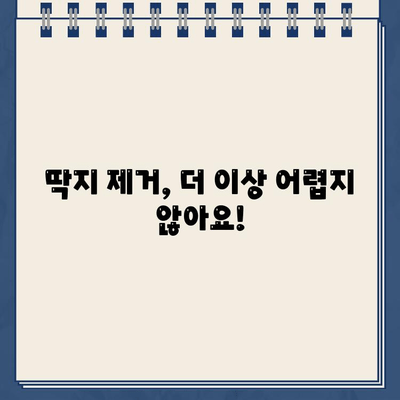 주차 딱지, 이제 걱정 끝! 손쉽게 제거하는 꿀팁 5가지 | 주차딱지 제거, 딱지 제거 방법, 주차 위반 딱지