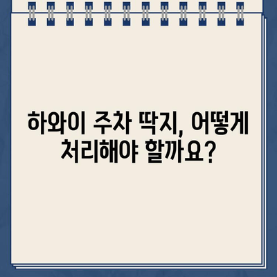 하와이 주차 딱지 & 견인 벌금, 이렇게 해결하세요! | 주차 위반, 견인, 벌금 납부 가이드