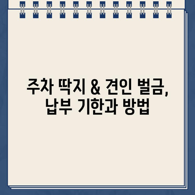 하와이 주차 딱지 & 견인 벌금, 이렇게 해결하세요! | 주차 위반, 견인, 벌금 납부 가이드