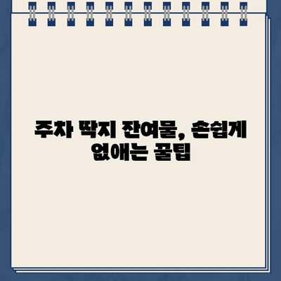 차량 스티커 끈끈이, 주차 딱지 제거 완벽 가이드 | 끈끈이 제거, 잔여물 제거, 차량 관리 팁