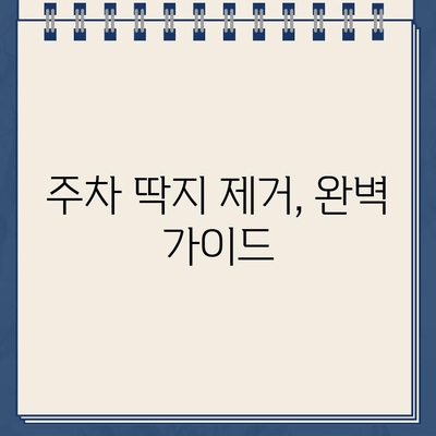 주차 딱지, 더 이상 걱정하지 마세요! | 주차 딱지 제거 완벽 가이드 | 주차 위반, 과태료, 딱지 해결 팁