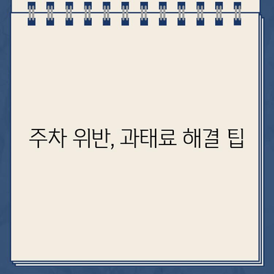 주차 딱지, 더 이상 걱정하지 마세요! | 주차 딱지 제거 완벽 가이드 | 주차 위반, 과태료, 딱지 해결 팁