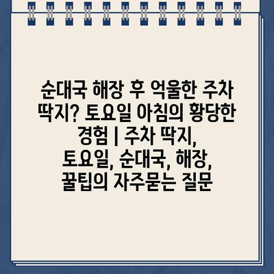 순대국 해장 후 억울한 주차 딱지? 토요일 아침의 황당한 경험 | 주차 딱지, 토요일, 순대국, 해장, 꿀팁