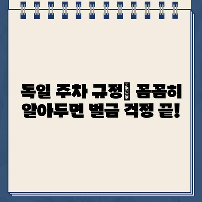 독일 유럽 여행 중 렌트카 주차 위반 벌금, 납부 방법 총정리 | 독일 주차 규정, 벌금 납부 절차, 팁